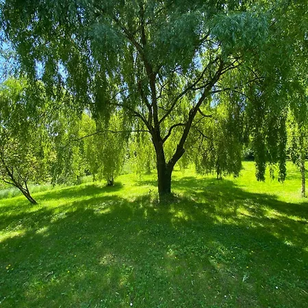 Moutiques * Cazaubon