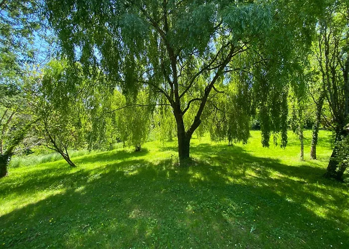 Moutiques * Cazaubon